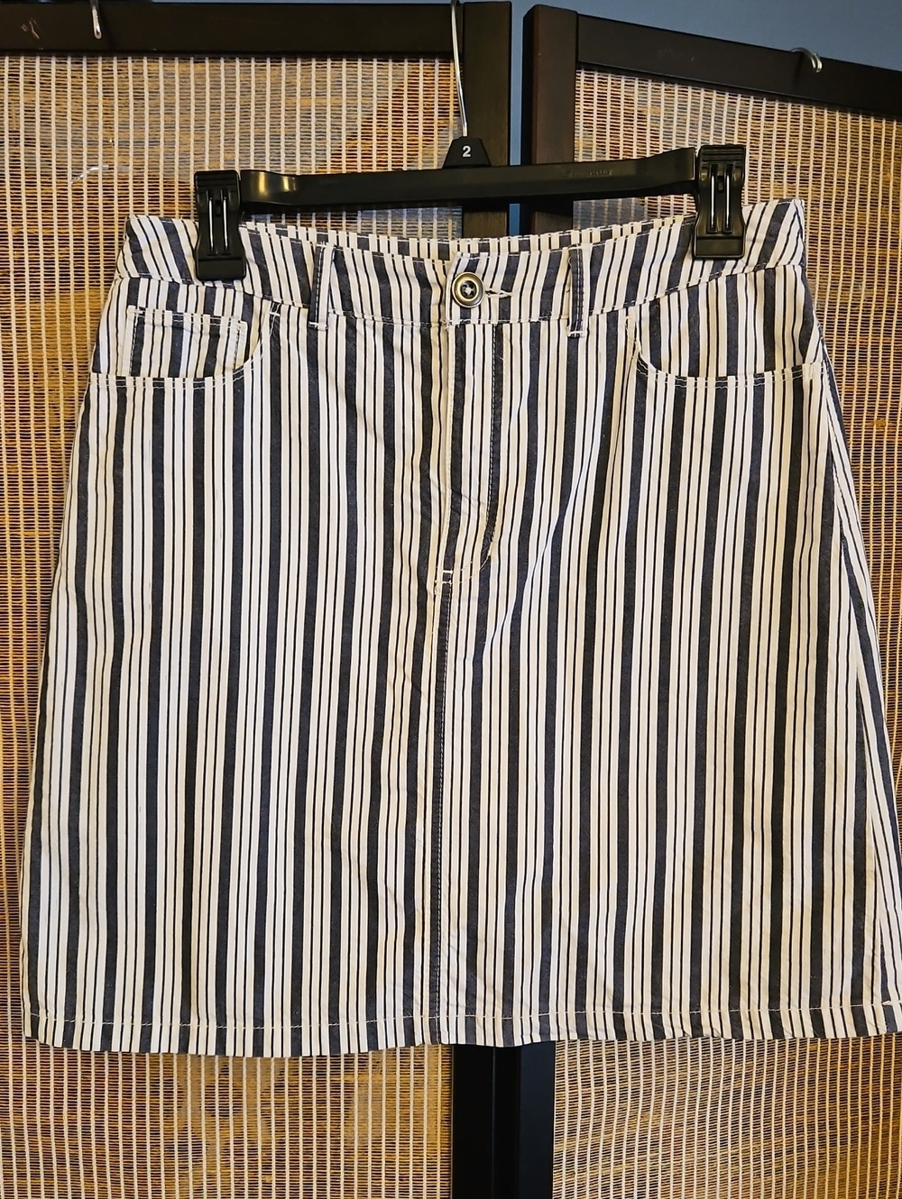 Striped Black and White A-Line Skirt